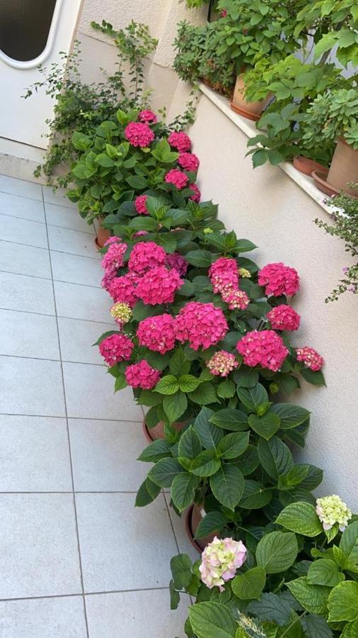 Apartment Pearl Of Split Luaran gambar